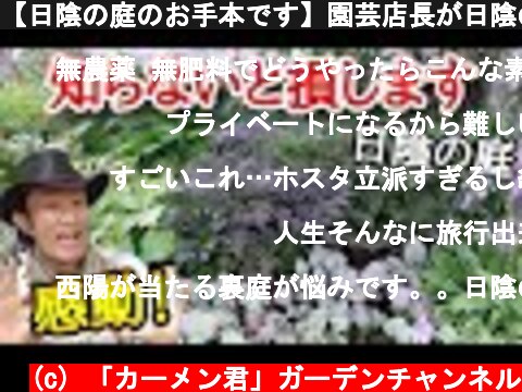 【日陰の庭のお手本です】園芸店長が日陰のお庭の見本　萌木の村のポールスミザーの庭を解説します。ガーデニングに悩む方必見です！  japan garden  (c) 「カーメン君」ガーデンチャンネル