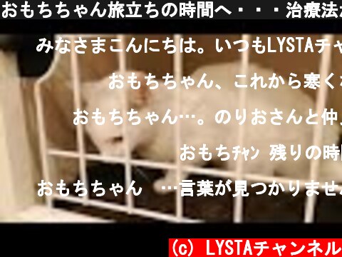 おもちちゃん旅立ちの時間へ・・・治療法がない猫伝染性腹膜炎【FIP】  (c) LYSTAチャンネル
