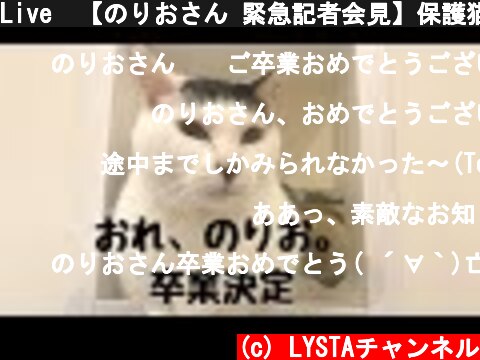 Live  【のりおさん 緊急記者会見】保護猫ふれあいサロンOhana  (c) LYSTAチャンネル