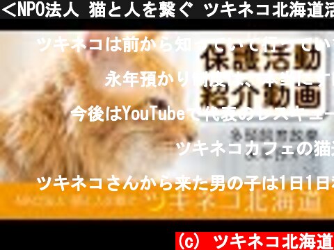 ＜NPO法人 猫と人を繋ぐ ツキネコ北海道活動紹介＞  (c) ツキネコ北海道
