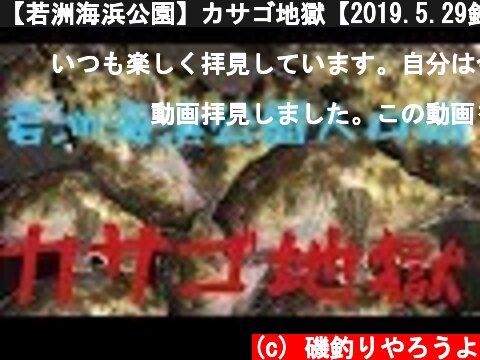【若洲海浜公園】カサゴ地獄【2019.5.29釣果報告】  (c) 磯釣りやろうよ