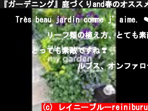『ガーデニング』庭づくりand春のオススメの草花の紹介🎶  (c) レイニーブルーreiniburu
