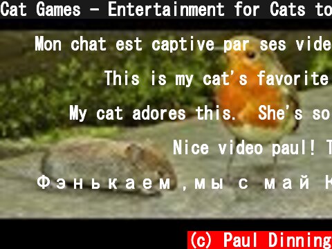 Cat Games - Entertainment for Cats to Watch Mice and Birds  (c) Paul Dinning
