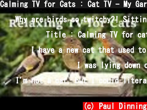 Calming TV for Cats : Cat TV - My Garden Birds - Relaxing Nature Music for Cats to Sleep  (c) Paul Dinning