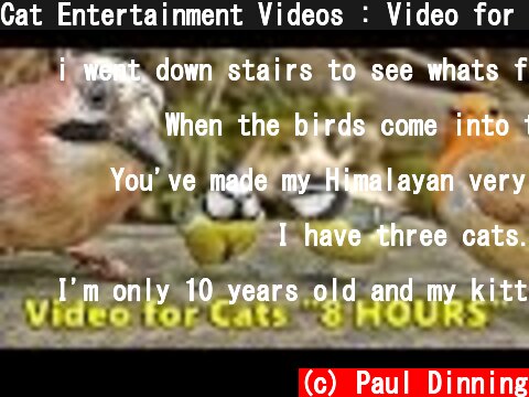 Cat Entertainment Videos : Video for Cats To Watch Birds : ULTIMATE 8 HOURS  (c) Paul Dinning