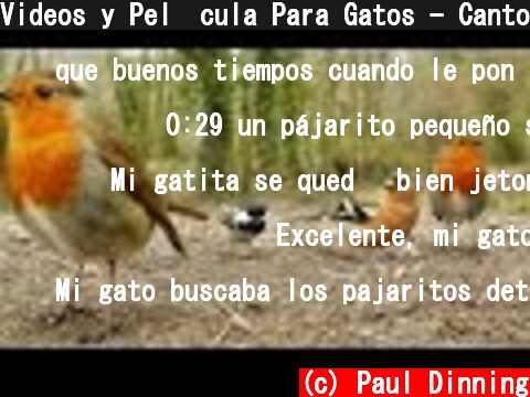 Videos y Pel�cula Para Gatos - Canto de Aves  (c) Paul Dinning