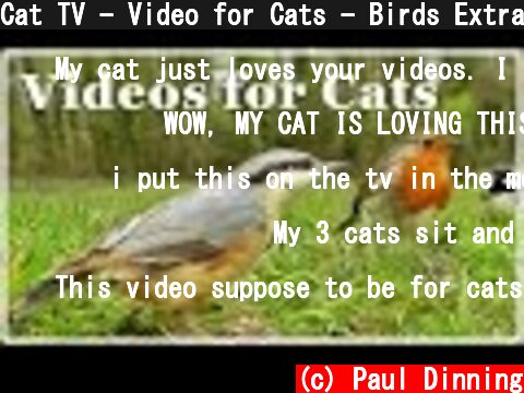 Cat TV - Video for Cats - Birds Extravaganza : 7 Hours of TV for Cats with Beautiful Bird Sounds ✅  (c) Paul Dinning