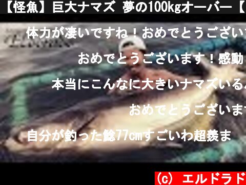 【怪魚】巨大ナマズ 夢の100kgオーバー【ブンサムラン・フィッシングパーク】  (c) エルドラド