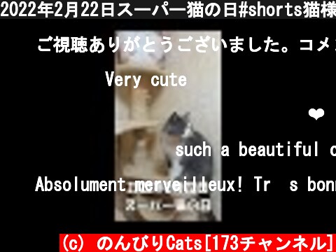 2022年2月22日スーパー猫の日#shorts猫様に感謝です  (c) のんびりCats[173チャンネル]