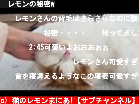 🍋レモンの秘密w  (c) 猫のレモンまにあ!【サブチャンネル】