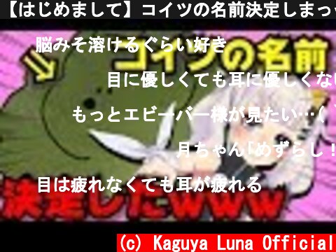 【はじめまして】コイツの名前決定しまっｗｗｗｗたｗｗｗ【ご挨拶】  (c) Kaguya Luna Official