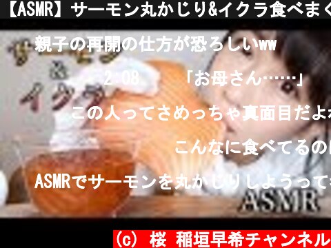 【ASMR】サーモン丸かじり&イクラ食べまくる音/Salmon and Fish Roe  (c) 桜 稲垣早希チャンネル