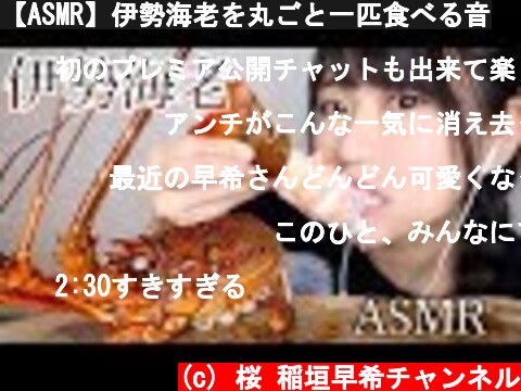 【ASMR】伊勢海老を丸ごと一匹食べる音  (c) 桜 稲垣早希チャンネル