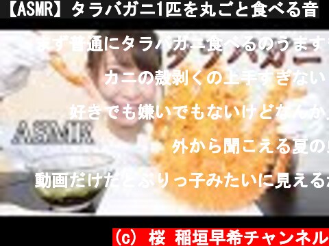 【ASMR】タラバガニ1匹を丸ごと食べる音  (c) 桜 稲垣早希チャンネル