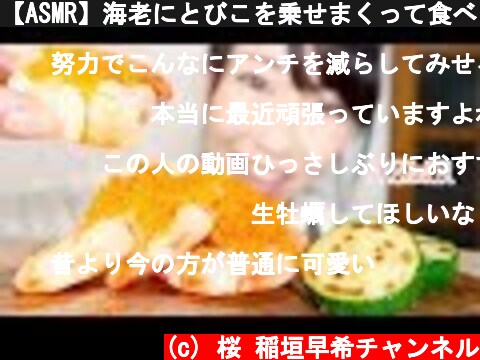 【ASMR】海老にとびこを乗せまくって食べる音【ぷりっプチ】  (c) 桜 稲垣早希チャンネル