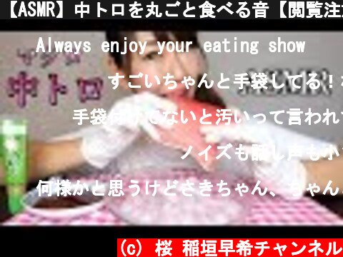 【ASMR】中トロを丸ごと食べる音【閲覧注意】/Sound Eating Fatty Tuna  (c) 桜 稲垣早希チャンネル