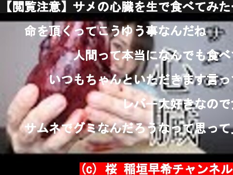 【閲覧注意】サメの心臓を生で食べてみた…　Shark heart  (c) 桜 稲垣早希チャンネル