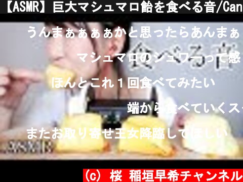【ASMR】巨大マシュマロ飴を食べる音/Candied Marshmallow  (c) 桜 稲垣早希チャンネル