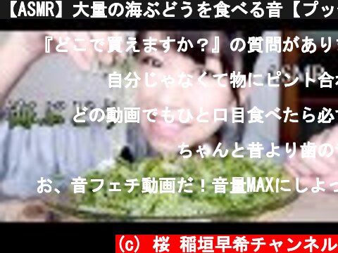 【ASMR】大量の海ぶどうを食べる音【プッチプチ】  (c) 桜 稲垣早希チャンネル
