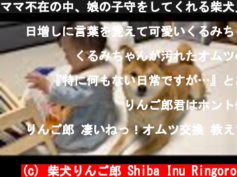 ママ不在の中、娘の子守をしてくれる柴犬兄さんが頼もしかった  (c) 柴犬りんご郎 Shiba Inu Ringoro