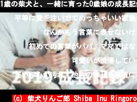 1歳の柴犬と、一緒に育った0歳娘の成長記録【2019総集編】  (c) 柴犬りんご郎 Shiba Inu Ringoro