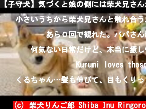 【子守犬】気づくと娘の側には柴犬兄さんがいる  (c) 柴犬りんご郎 Shiba Inu Ringoro