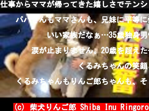 仕事からママが帰ってきた嬉しさでテンションが上がってしまう柴犬と1歳娘  (c) 柴犬りんご郎 Shiba Inu Ringoro