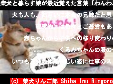 柴犬と暮らす娘が最近覚えた言葉「わんわん」  (c) 柴犬りんご郎 Shiba Inu Ringoro
