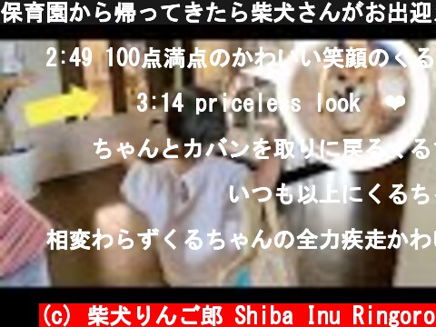 保育園から帰ってきたら柴犬さんがお出迎えをしてくれ大喜びの娘  (c) 柴犬りんご郎 Shiba Inu Ringoro