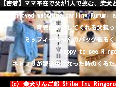 【密着】ママ不在で父が1人で挑む、柴犬と1歳娘の子守奮闘日記  (c) 柴犬りんご郎 Shiba Inu Ringoro