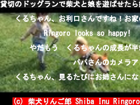 貸切のドッグランで柴犬と娘を遊ばせたら嬉しさが爆発してしまう  (c) 柴犬りんご郎 Shiba Inu Ringoro