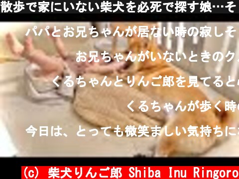 散歩で家にいない柴犬を必死で探す娘…そして家に帰ってくると嬉しくてたまらない様子が微笑ましい  (c) 柴犬りんご郎 Shiba Inu Ringoro