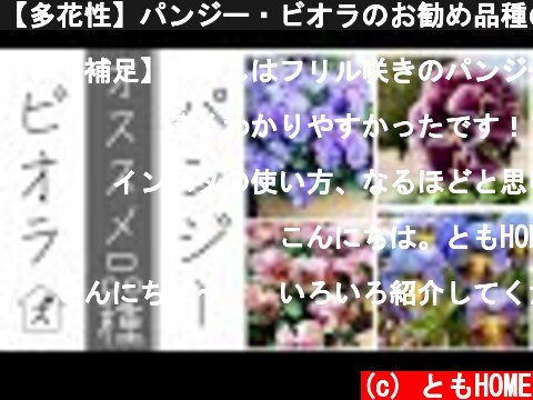 【多花性】パンジー・ビオラのお勧め品種の紹介【フリル咲き】  (c) ともHOME