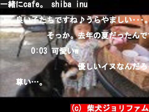 一緒にcafe。 shiba inu  (c) 柴犬ジョリファム