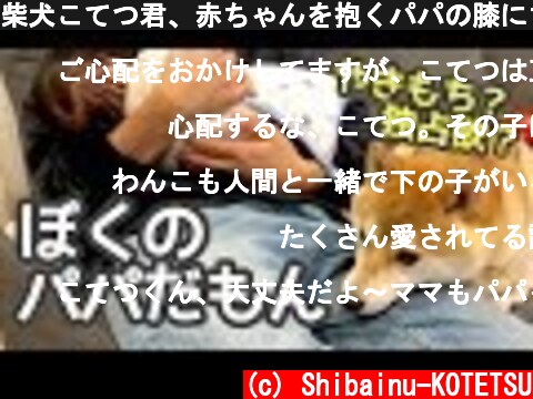 柴犬こてつ君、赤ちゃんを抱くパパの膝にちょっとずつ侵略!!【やきもち】  (c) Shibainu-KOTETSU