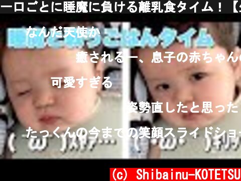 一口ごとに睡魔に負ける離乳食タイム！【生後8ヶ月赤ちゃん】たっくんのターン  (c) Shibainu-KOTETSU