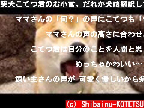 柴犬こてつ君のお小言。だれか犬語翻訳して‼︎  (c) Shibainu-KOTETSU