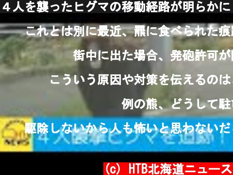４人を襲ったヒグマの移動経路が明らかに！相次ぐヒグマの出没と被害…なぜ市街地に現れるのか  (c) HTB北海道ニュース