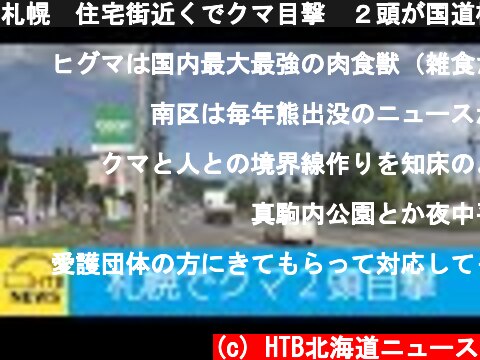 札幌　住宅街近くでクマ目撃　２頭が国道横断  (c) HTB北海道ニュース