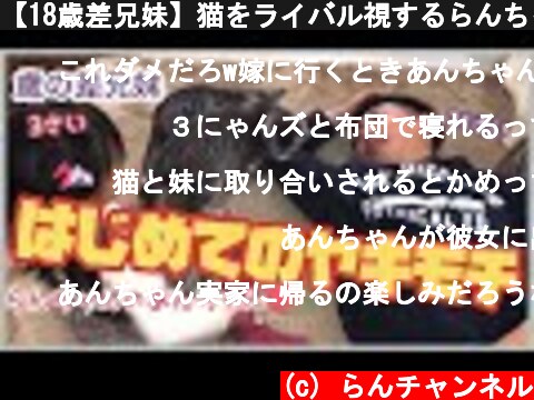 【18歳差兄妹】猫をライバル視するらんちゃん😉  (c) らんチャンネル