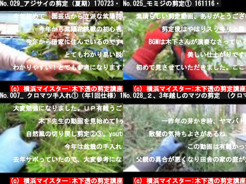 横浜マイスター:木下透の剪定講座（おすすめch紹介）