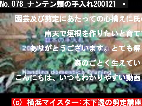 No.078_ナンテン類の手入れ200121 ・  (c) 横浜マイスター:木下透の剪定講座
