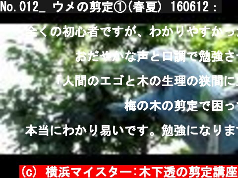 No.012_ ウメの剪定①(春夏) 160612：  (c) 横浜マイスター:木下透の剪定講座