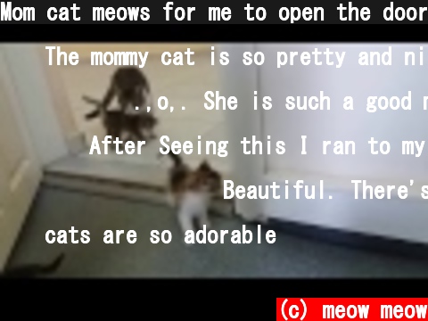 Mom cat meows for me to open the door, because her kittens are behind the door  (c) meow meow