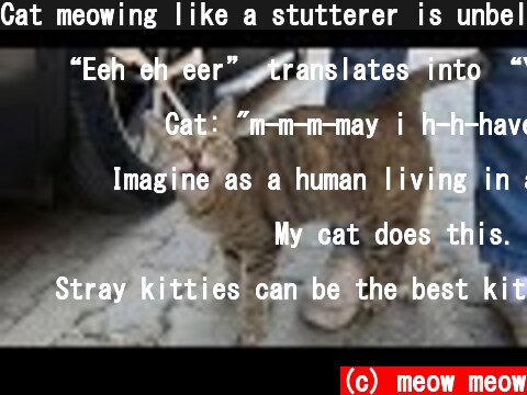 Cat meowing like a stutterer is unbelievably cute  (c) meow meow