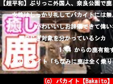 【超平和】ぶりっこ外国人、奈良公園で鹿と戯れる【日英字幕】  (c) バカイト【Bakaito】