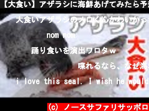 【大食い】アザラシに海鮮あげてみたら予想外の結果に！？Which food does seal like?  (c) ノースサファリサッポロ