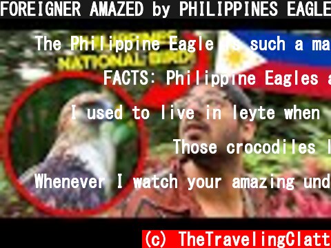 FOREIGNER AMAZED by PHILIPPINES EAGLE! (Largest Eagle in the World!) Philippines Eagle Center  (c) TheTravelingClatt