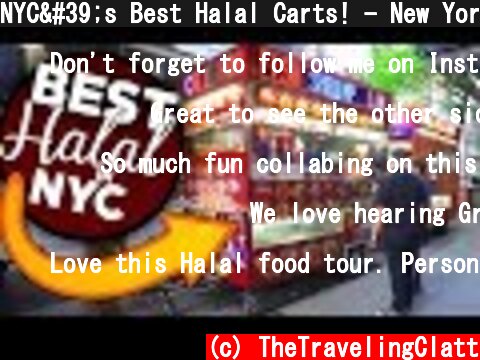 NYC's Best Halal Carts! - New York City Halal Food  (c) TheTravelingClatt