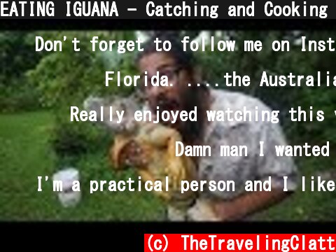 EATING IGUANA - Catching and Cooking Invasive Green Iguanas in Florida  (c) TheTravelingClatt